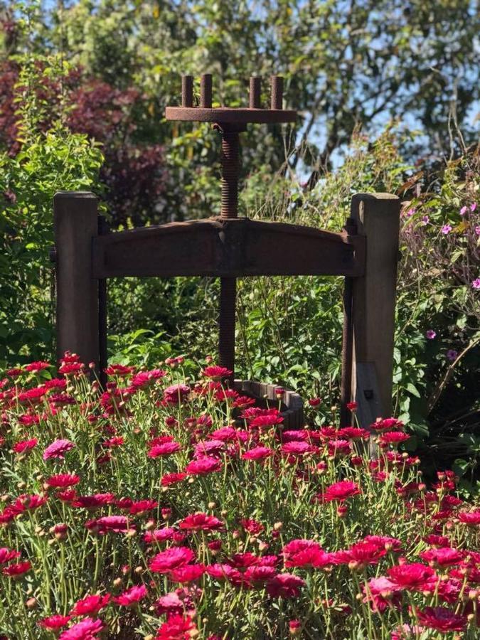 Robin Hoods Well Farm Stay Sassafras Buitenkant foto