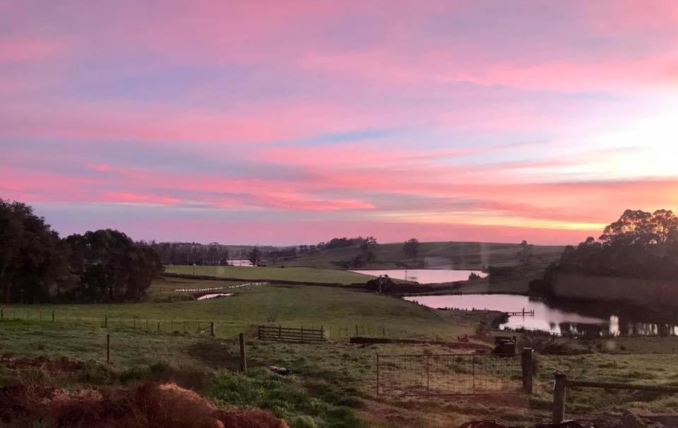 Robin Hoods Well Farm Stay Sassafras Buitenkant foto