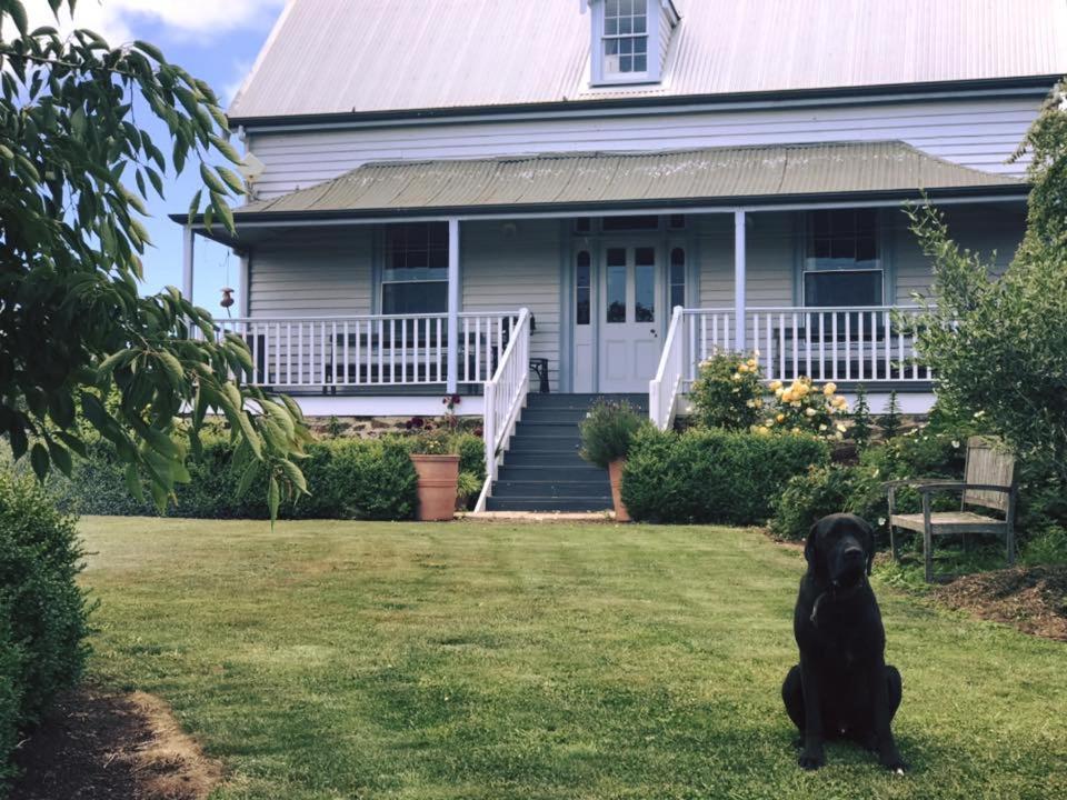 Robin Hoods Well Farm Stay Sassafras Buitenkant foto
