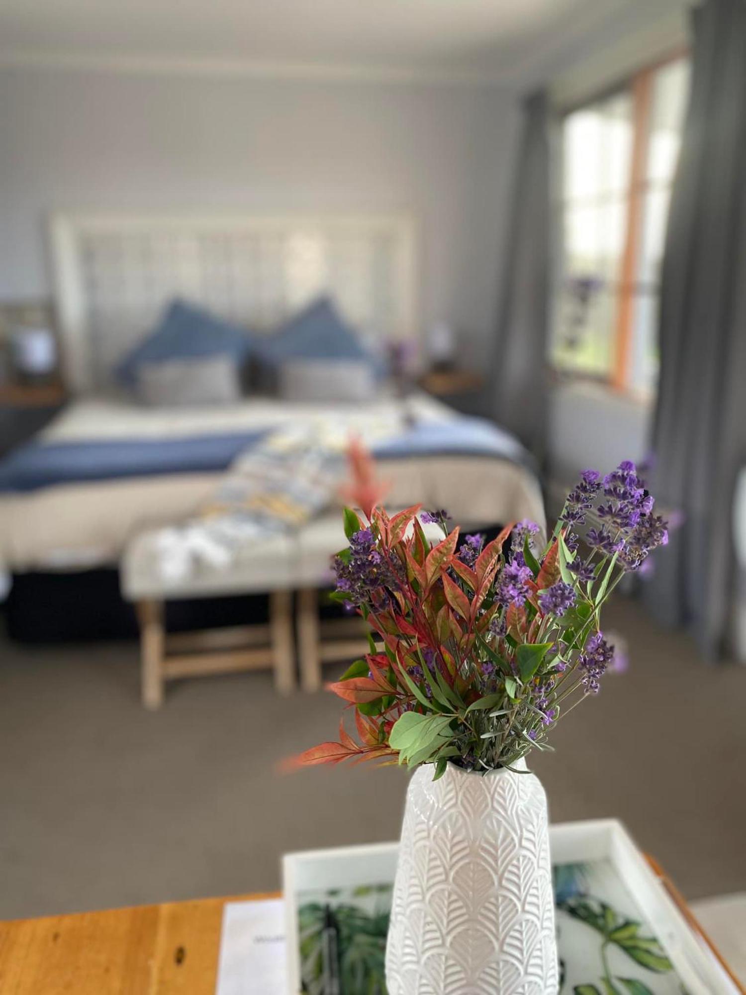 Robin Hoods Well Farm Stay Sassafras Buitenkant foto