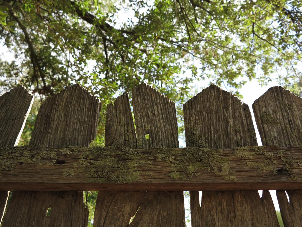 Robin Hoods Well Farm Stay Sassafras Buitenkant foto