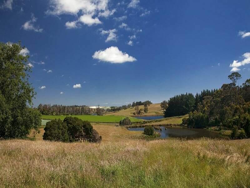 Robin Hoods Well Farm Stay Sassafras Buitenkant foto